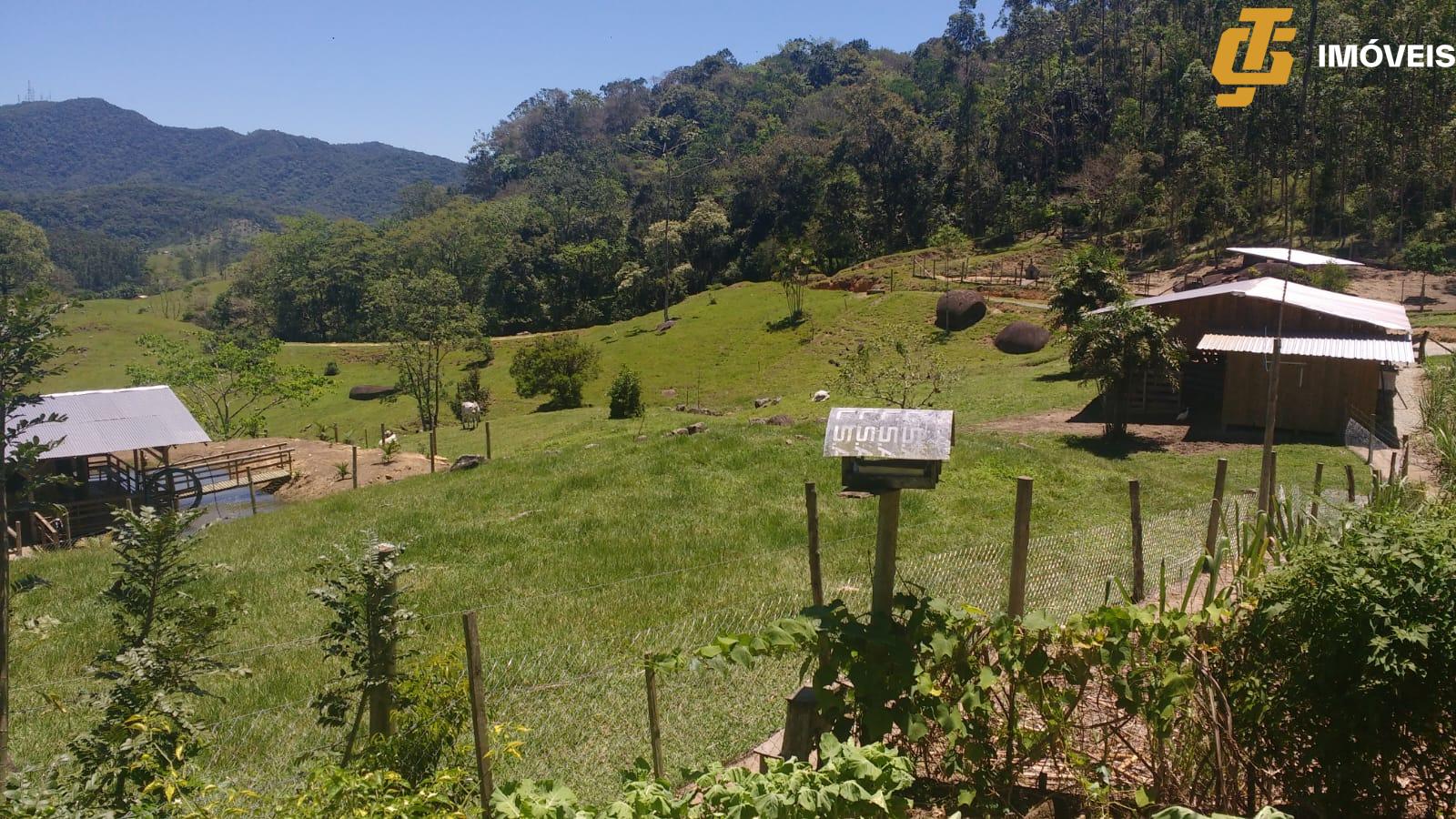 Fazenda à venda, 170000m² - Foto 9