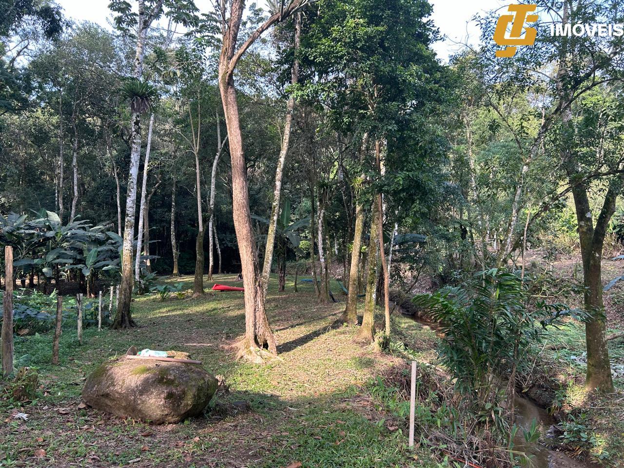 Terreno à venda, 1250m² - Foto 2