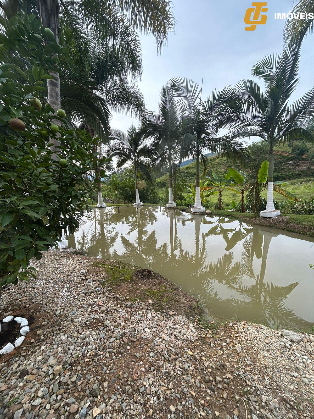 Fazenda à venda com 2 quartos, 1000m² - Foto 5