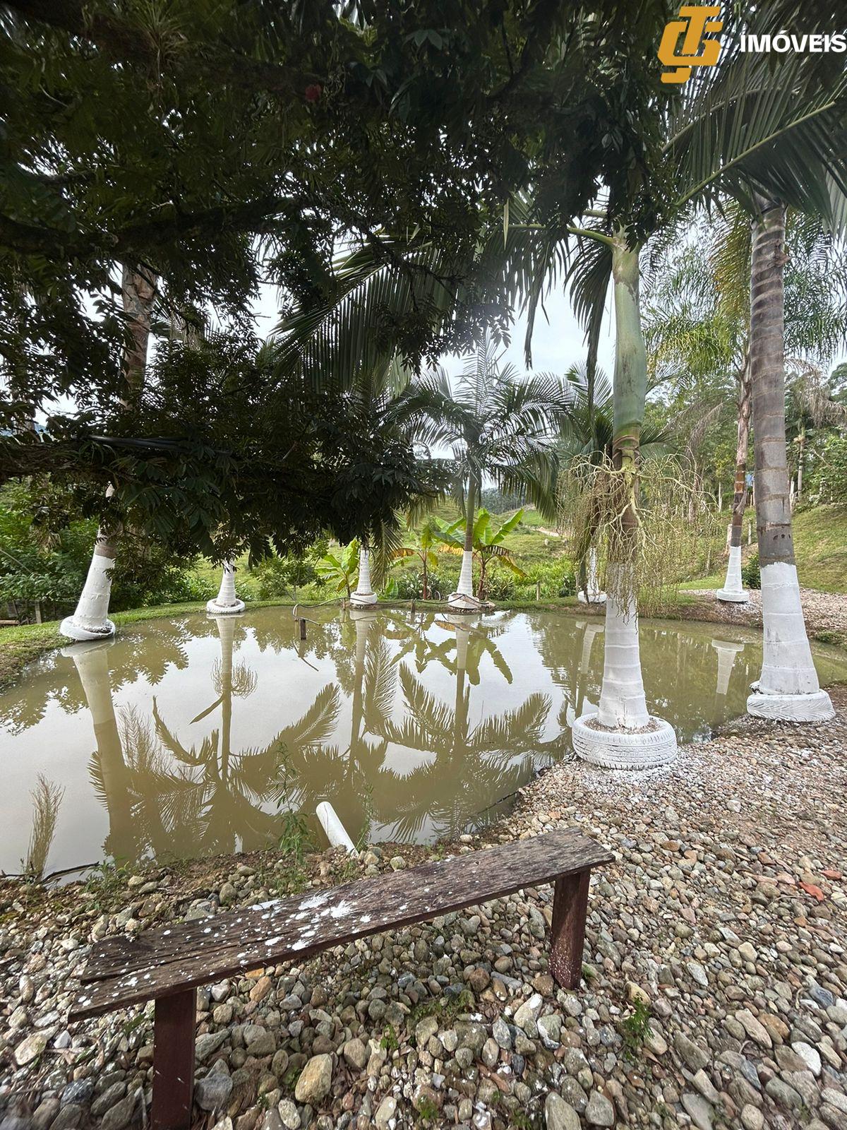 Fazenda à venda com 2 quartos, 1000m² - Foto 7