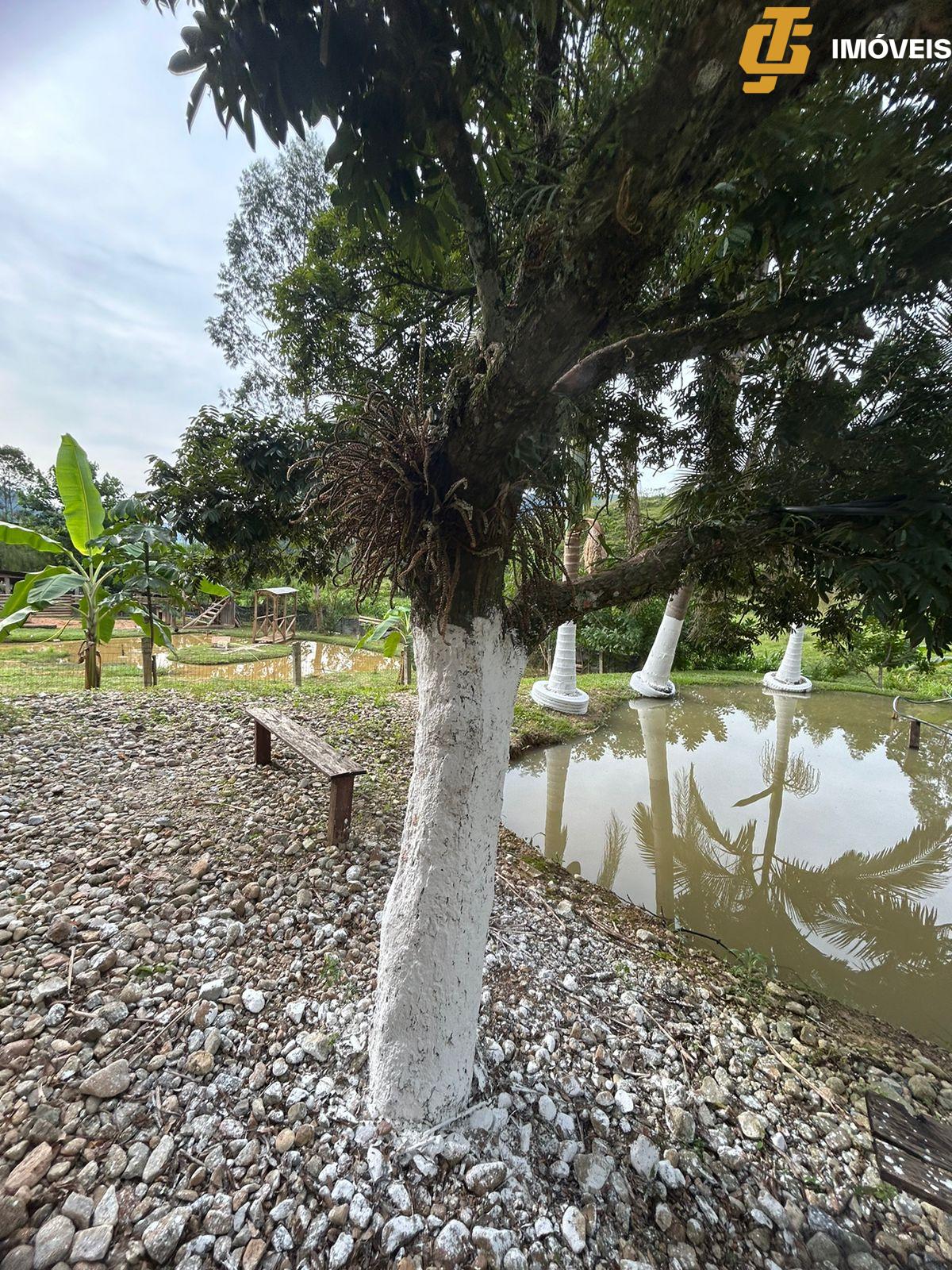 Fazenda à venda com 2 quartos, 1000m² - Foto 8