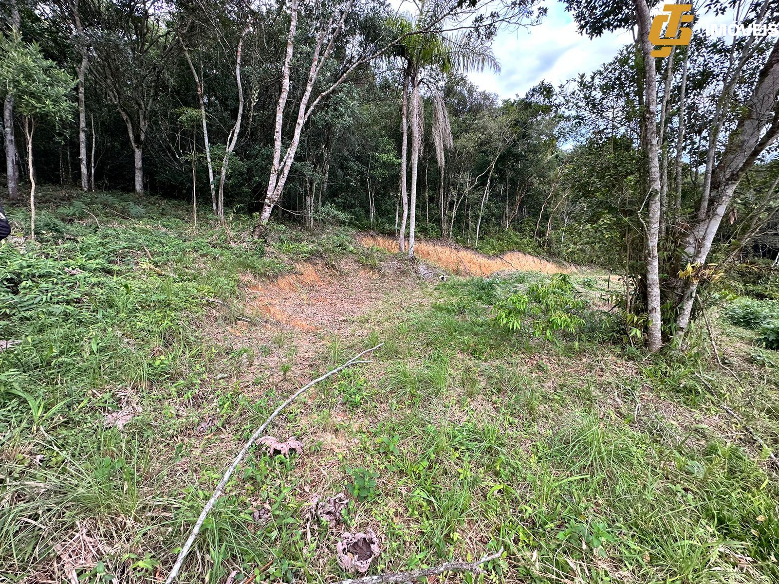 Terreno à venda, 1950m² - Foto 2