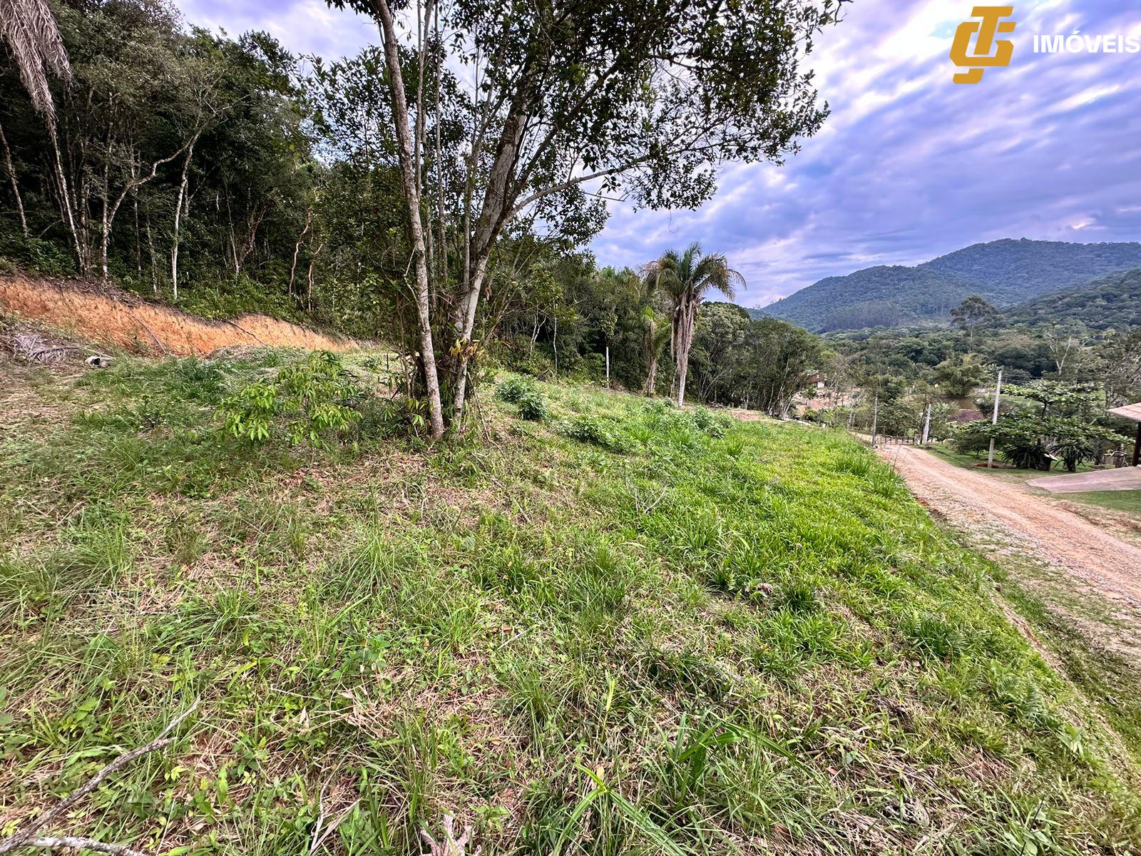 Terreno à venda, 1950m² - Foto 3