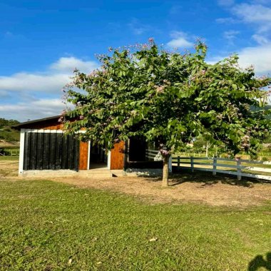 Ótima Chácara à Venda em Canelinha - SC