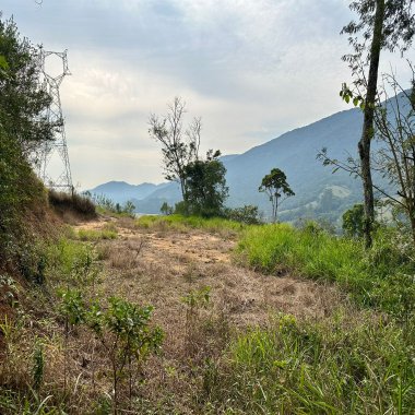 Terreno Plano em Camboriú
