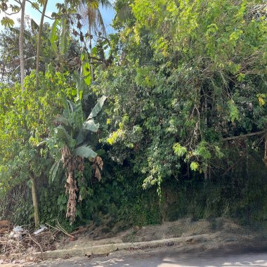  Terreno Escriturado em Monte Alegre